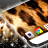 icon Cheetah Wallpapers for 1.231.1.108