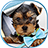 icon Cute Dogs Live Wallpaper 1.0.5