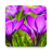 icon Beautiful Spring Flowers Live Wallpaper 1.0.8