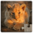 icon Cute Animals Puzzle 14.9.0