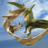icon Clan of Pterodactyl 2.1