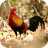 icon com.sounds.redjunglefowl 1.2
