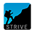 icon Strive Benefits 14.2.0_strive