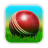 icon Cricket 3D 1.7.1