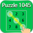 icon Puzzle1045 1.0.4
