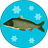 icon True Fishing 1.9.4.356