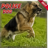 icon Police Dog Chase Crime City 1.1