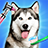 icon DogGames:PetVetDoctorCare 1.3