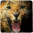 icon Cheetah Training World 1.3