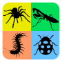 icon Insect Life Cycle