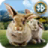 icon Rabbit Animal Simulator 1.0