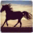 icon Jungle Horse Run 3D 1.0.0