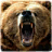 icon Jungle Bear Run 3D 1.0.0
