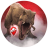 icon JW Alive 3.15.42