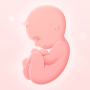 icon My Pregnancy - Baby Tracker