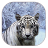 icon White Tiger 1.2