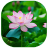 icon Lotus 1.3
