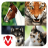 icon Animal Sounds 285.5