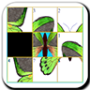 icon ButterflySlidePuzzle