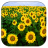 icon Sunflower 1.4