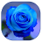 icon Blue Rose 1.3