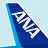 icon ANA 4.1.8