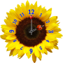 icon Flower Clock Widget
