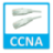 icon CCNA 1.8.1