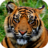 icon Tiger Wallpapers 1.0