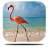 icon 3D Flamingo Live Wallpaper 3.0
