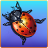icon Bug Smasher 1.3.3