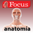 icon com.focusmedica.jaaspanish 1.9