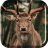 icon Herd of Deer Live Wallpaper 2.0