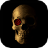 icon Skulls LWP 2.1