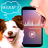 icon Translator for Dog 1.0