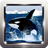 icon Killer Whale Wallpapers 9