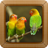 icon Lovebird Ringtones 9.0