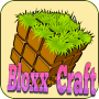 icon BloxxCraft