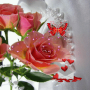 icon com.dakshapps.pinkrosebutterfly