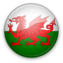 icon WelshLeague