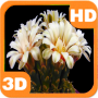 icon com.piedlove.blooming.flower.cactus.bud