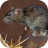 icon Mouse and Rat sounds 1.5