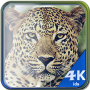 icon 4kids Zoo memory game