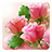 icon Roses Live Wallpaper 2.5