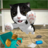 icon Cat Sim 3.6.01