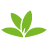 icon org.plantnet 2.3.0