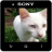 icon Media Viewer 1.0.5