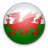 icon WelshLeague 20127
