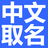 icon Chinese Name V1.1