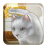 icon Talking Cute Cat 1.1.7